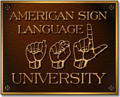 What types of study materials are provided when you take online ASL classes?