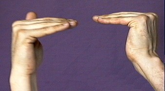 equal American Sign Language (ASL)
