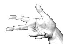 3