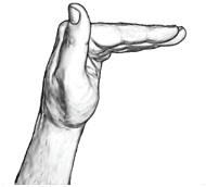 b-bent