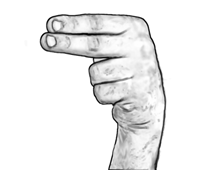 h