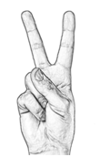 v
