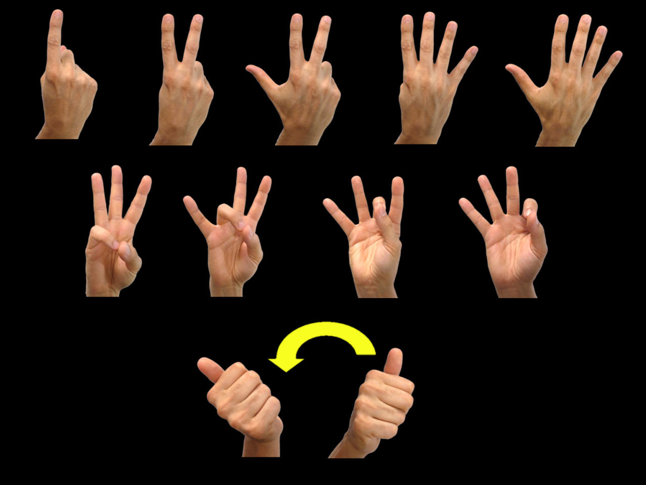 Sign Language Number Chart